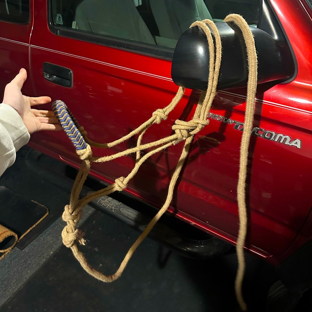 Rope halter with lead line